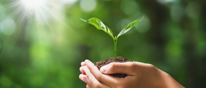 Sistema de Gestión Ambiental Sistema de Gestión Ambiental